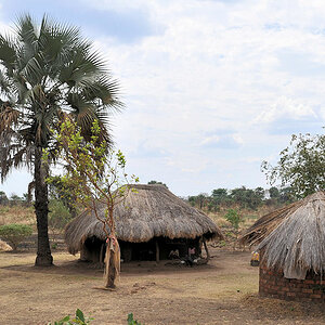 Bauernhof in Mfuwe
6131