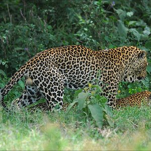 acomp Kenia 20111011 00752