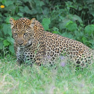 acomp Kenia 20111011 01702