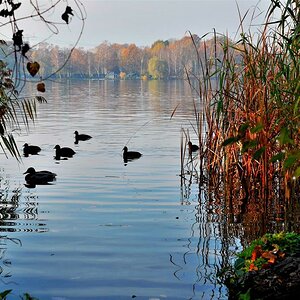 Herbst an der Havel (2)
