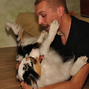 ...making of hundefotos