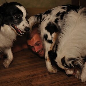 ...making of hundefotos