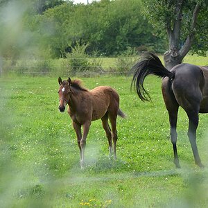 Mutter und Tochter