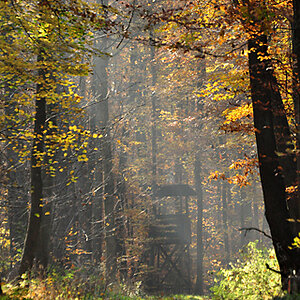 DSC 6432 Herbst NÖ 320