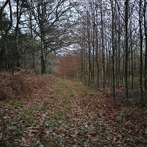 compDSC 3271