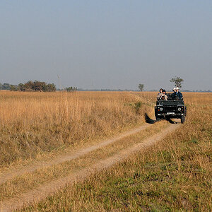 auf Safari in den Busanga Plains
2692
