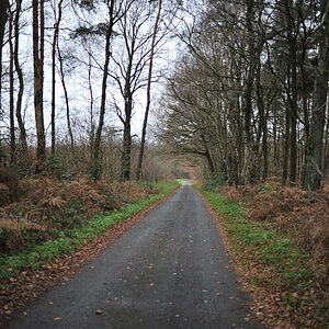 compDSC 3282