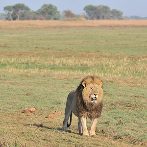 Der Sohn von Big John
Der König der Busanga Plains
4171