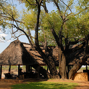 Bar und Bibliothek im Nkwali Camp
4538