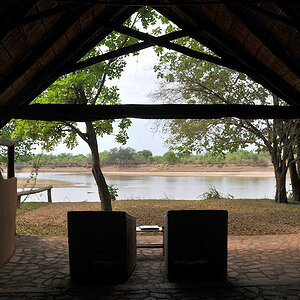 Blick vom Bett über den Luangwa River
in den Nationalpark.
6229