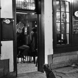 HUnd vor Kneipe