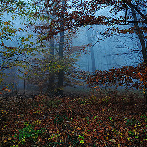 DSC 2524fsks