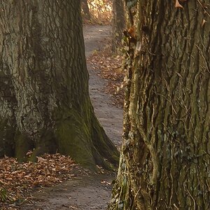 20111121 0137 [NIKON 1 V1] 30.9 mm,0,6 Sek. bei ƒ   6,3 2