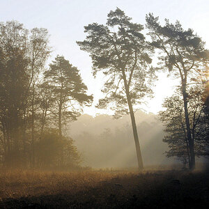 Heide 17 1