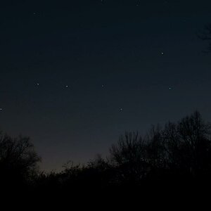 Stars over Osdorfer Wäldchen
