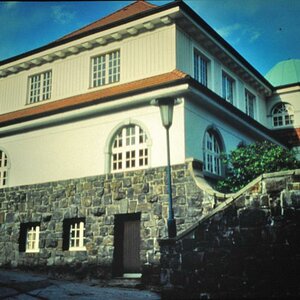 DSC 0007