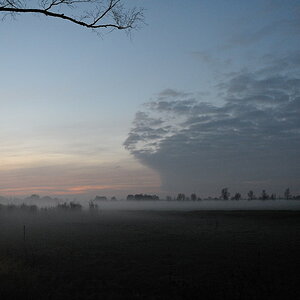 nebel JKK 3602