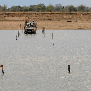 Furt im Luangwa River
3055
