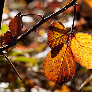 schöne Farben