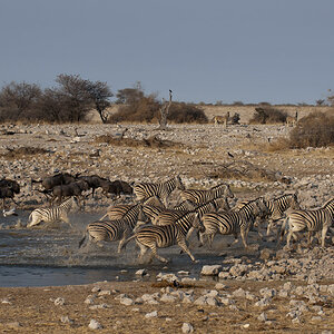 namibia 63