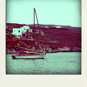pola pola