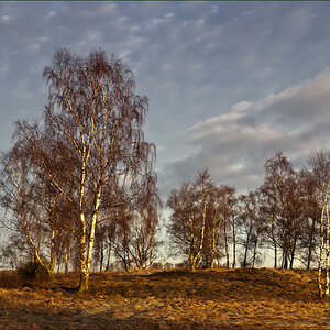 erste morgensonne