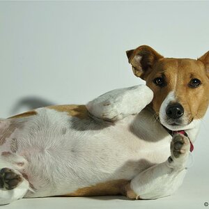 Fotoshooting