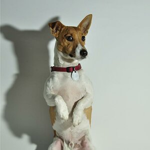 Fotoshooting