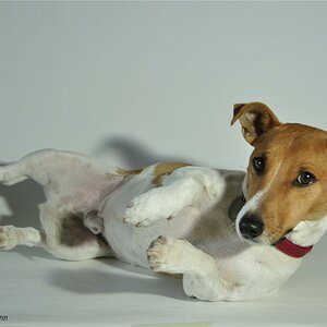 Fotoshooting
