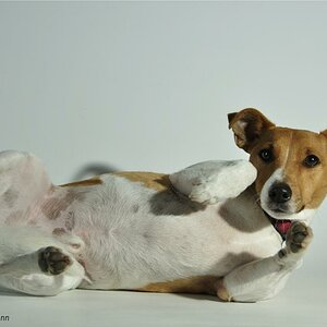 Fotoshooting