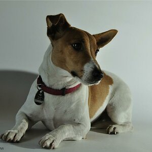 Fotoshooting