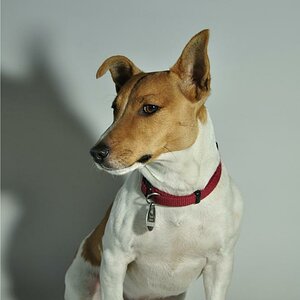 Fotoshooting