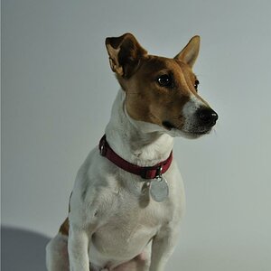 Fotoshooting