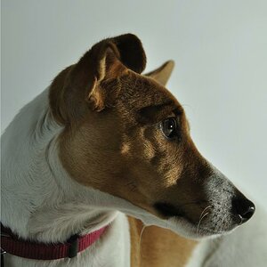 Fotoshooting
