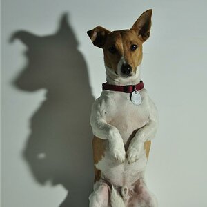 Fotoshooting