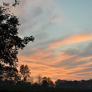 Morgenrot im Tecklenburger Land