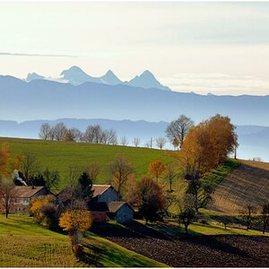 im Hintergrund der Dachstein