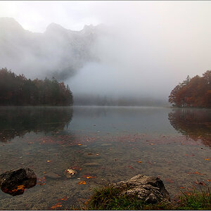 der Langbathsee im Morgennebel
