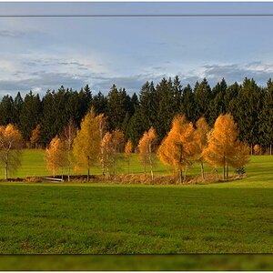 der November noch in schönsten Farben