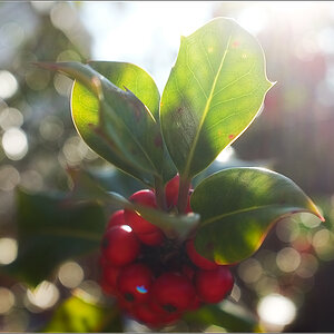 was ist bokeh