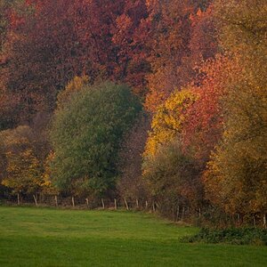 DSC5695 2_final