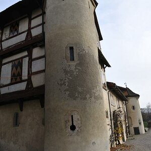 Schloss Hegi