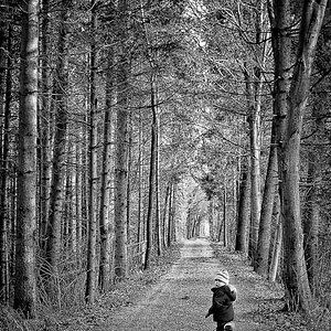 Long way home