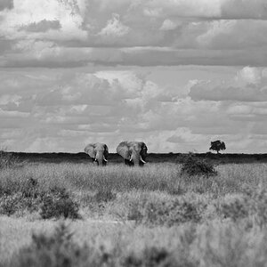2012 Botswana-Sambia Fotoreise / Workshop mit Stefano Levi