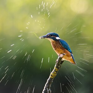 20110604 3358 [NIKON D5100] 1000 mm,1 80 Sek. bei ƒ   8,0