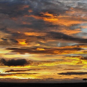 acomp Kenia 20111015 09232
