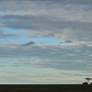 acomp Kenia 20111015 11894