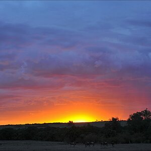 acomp Kenia 20111018 20677