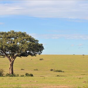 acomp Kenia 20111015 11981
