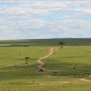 acomp Kenia 20111015 12214